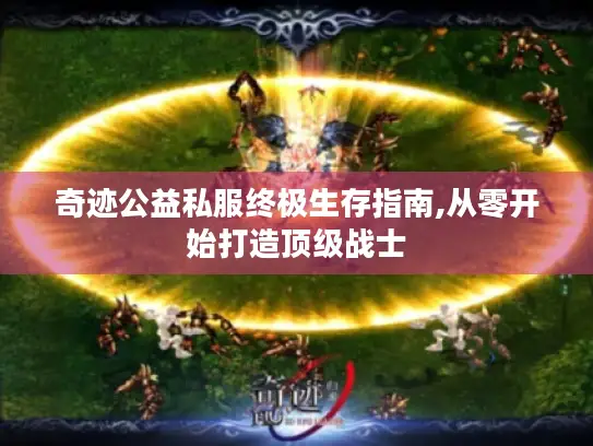 奇迹公益私服终极生存指南,从零开始打造顶级战士 奇迹公益私服终极生存指南,从零开始打造顶级战士