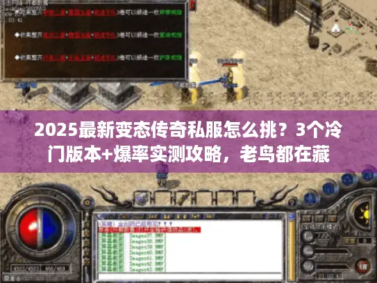 2025最新变态传奇私服怎么挑?3个冷门版本+爆率实测攻略,老鸟都在藏 2025最新变态传奇私服怎么挑?3个冷门版本+爆率实测攻略,老鸟都在藏