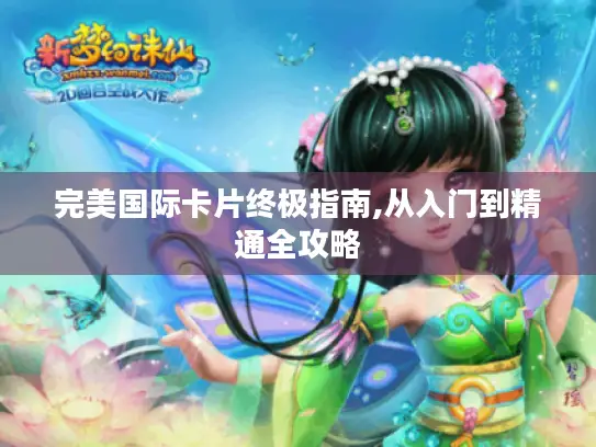 完美国际卡片终极指南,从入门到精通全攻略