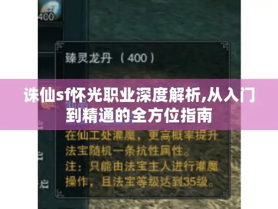 诛仙sf怀光职业深度解析,从入门到精通的全方位指南