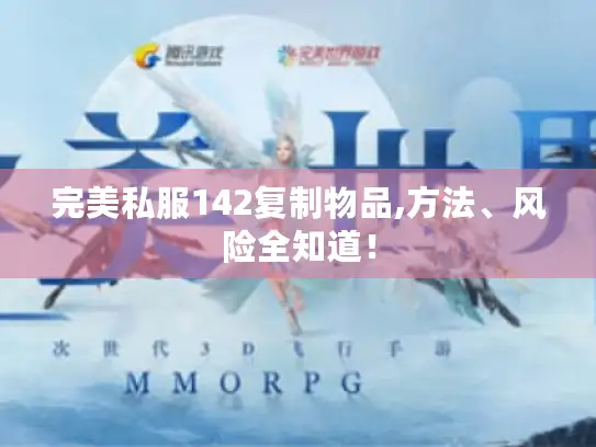 完美私服142复制物品,方法、风险全知道！