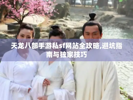 天龙八部手游私sf网站全攻略,避坑指南与独家技巧