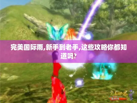 完美国际雨,新手到老手,这些攻略你都知道吗?