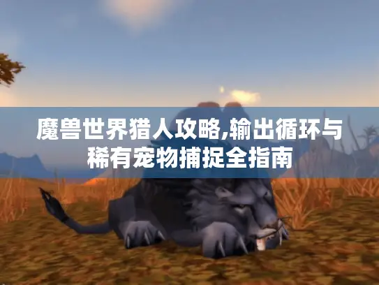 魔兽世界猎人攻略,输出循环与稀有宠物捕捉全指南
