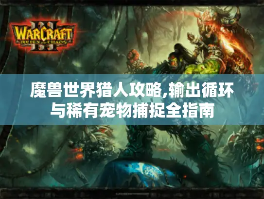 魔兽世界猎人攻略,输出循环与稀有宠物捕捉全指南