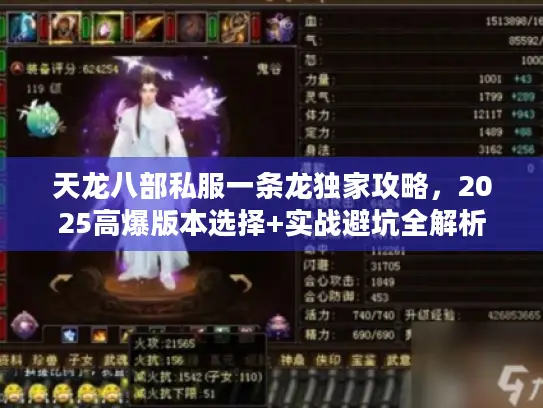 天龙八部私服一条龙独家攻略，2025高爆版本选择+实战避坑全解析