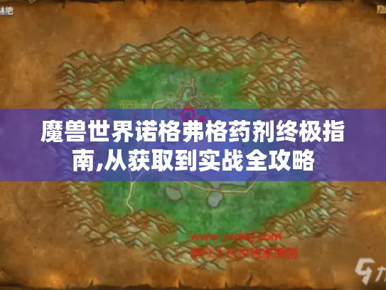 魔兽世界诺格弗格药剂终极指南,从获取到实战全攻略