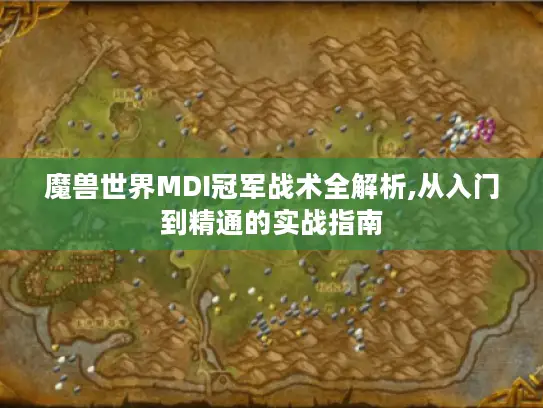 魔兽世界MDI冠军战术全解析,从入门到精通的实战指南
