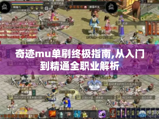 奇迹mu单刷终极指南,从入门到精通全职业解析 奇迹mu单刷终极指南,从入门到精通全职业解析