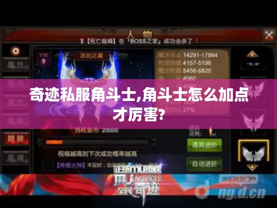 奇迹私服角斗士,角斗士怎么加点才厉害?