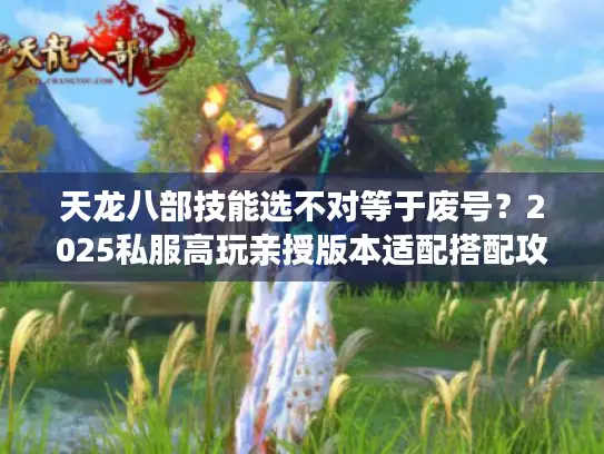 天龙八部技能选不对等于废号？2025私服高玩亲授版本适配搭配攻略