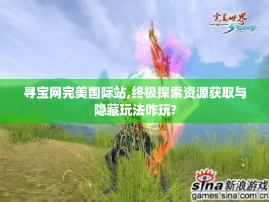 寻宝网完美国际站,终极探索资源获取与隐藏玩法咋玩? 寻宝网完美国际站,终极探索资源获取与隐藏玩法咋玩?