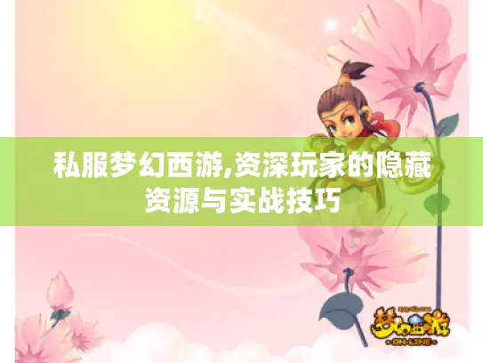 私服梦幻西游,资深玩家的隐藏资源与实战技巧