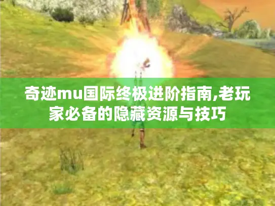 奇迹mu国际终极进阶指南,老玩家必备的隐藏资源与技巧