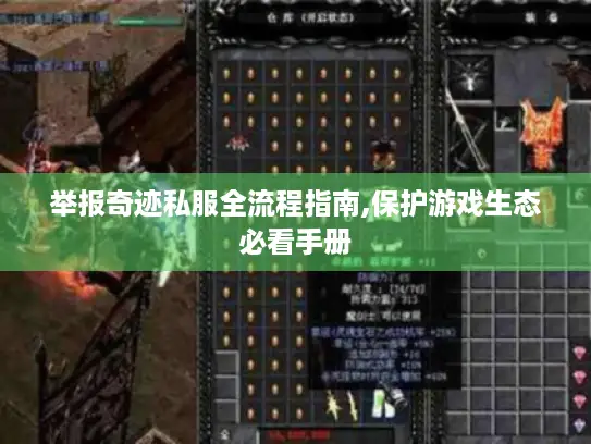 举报奇迹私服全流程指南,保护游戏生态必看手册