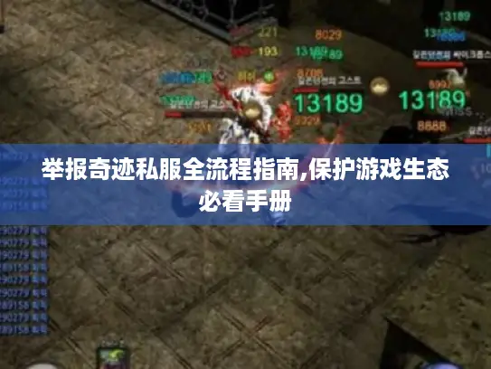 举报奇迹私服全流程指南,保护游戏生态必看手册