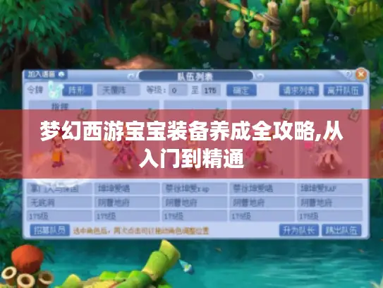 梦幻西游宝宝装备养成全攻略,从入门到精通