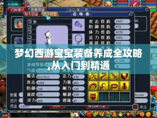 梦幻西游宝宝装备养成全攻略,从入门到精通