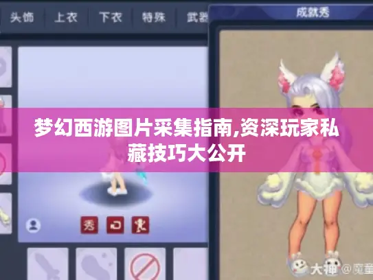 梦幻西游图片采集指南,资深玩家私藏技巧大公开
