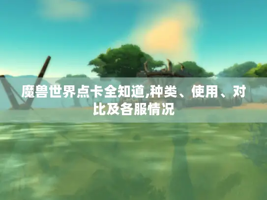 魔兽世界点卡全知道,种类、使用、对比及各服情况