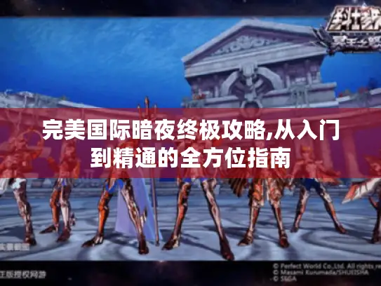 完美国际暗夜终极攻略,从入门到精通的全方位指南