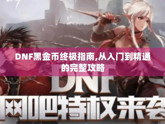 DNF黑金币终极指南,从入门到精通的完整攻略