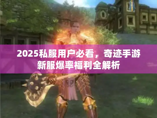 2025私服用户必看，奇迹手游新服爆率福利全解析