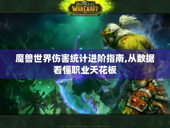 魔兽世界伤害统计进阶指南,从数据看懂职业天花板 魔兽世界伤害统计进阶指南,从数据看懂职业天花板