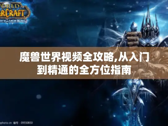 魔兽世界视频全攻略,从入门到精通的全方位指南 魔兽世界视频全攻略,从入门到精通的全方位指南