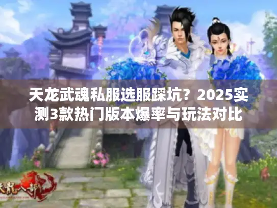 天龙武魂私服选服踩坑？2025实测3款热门版本爆率与玩法对比