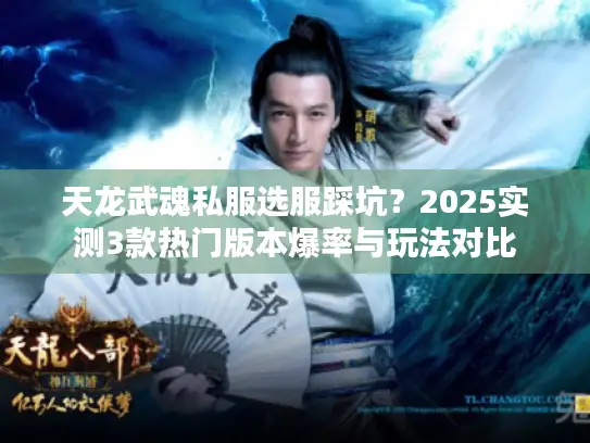 天龙武魂私服选服踩坑？2025实测3款热门版本爆率与玩法对比