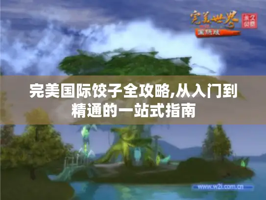 完美国际饺子全攻略,从入门到精通的一站式指南