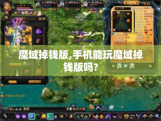 魔域掉钱版,手机能玩魔域掉钱版吗?