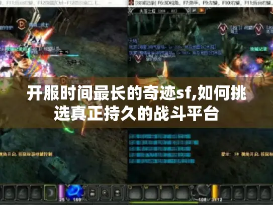 开服时间最长的奇迹sf,如何挑选真正持久的战斗平台