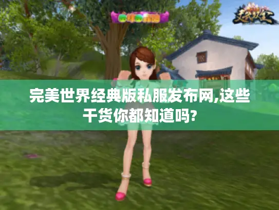 完美世界经典版私服发布网,这些干货你都知道吗? 完美世界经典版私服发布网,这些干货你都知道吗?