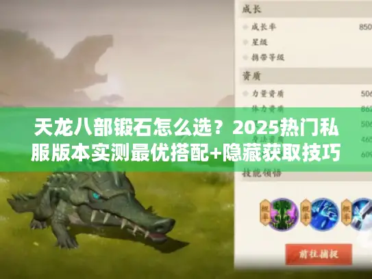 天龙八部锻石怎么选？2025热门私服版本实测最优搭配+隐藏获取技巧