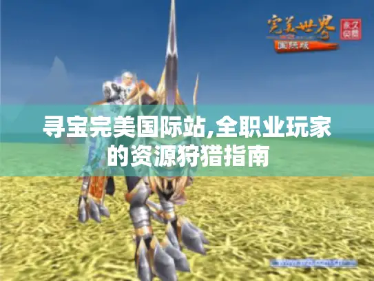 寻宝完美国际站,全职业玩家的资源狩猎指南 寻宝完美国际站,全职业玩家的资源狩猎指南