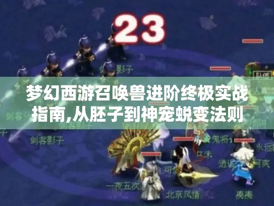 梦幻西游召唤兽进阶终极实战指南,从胚子到神宠蜕变法则