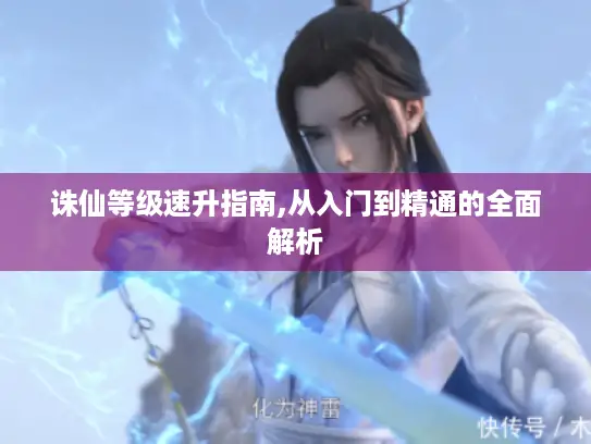 诛仙等级速升指南,从入门到精通的全面解析