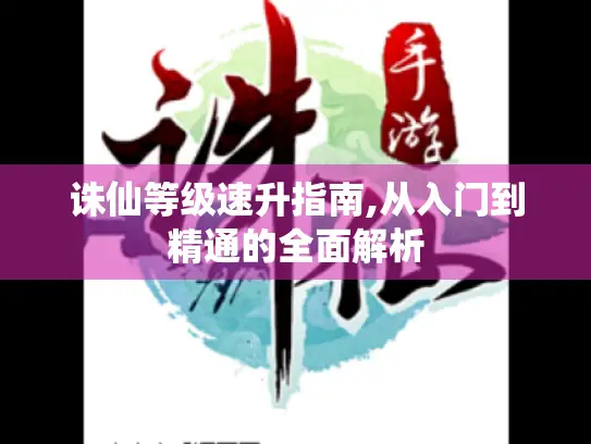 诛仙等级速升指南,从入门到精通的全面解析