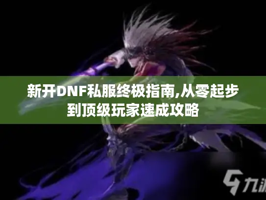 新开DNF私服终极指南,从零起步到顶级玩家速成攻略
