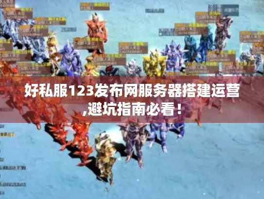 好私服123发布网服务器搭建运营,避坑指南必看！