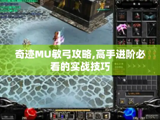 奇迹MU敏弓攻略,高手进阶必看的实战技巧