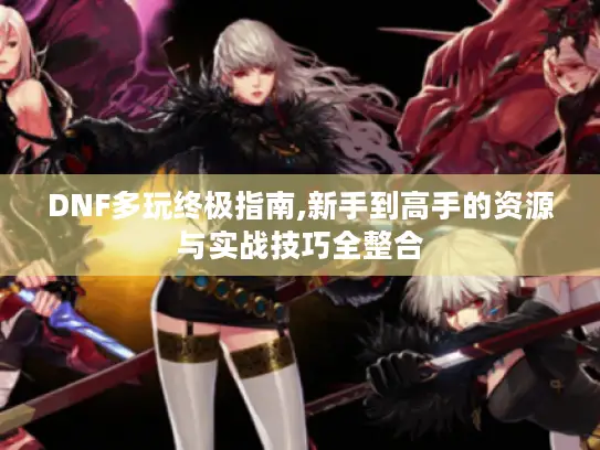 DNF多玩终极指南,新手到高手的资源与实战技巧全整合