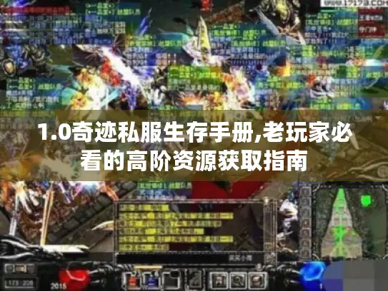 1.0奇迹私服生存手册,老玩家必看的高阶资源获取指南