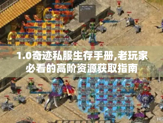 1.0奇迹私服生存手册,老玩家必看的高阶资源获取指南