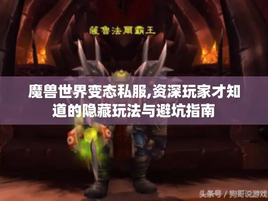 魔兽世界变态私服,资深玩家才知道的隐藏玩法与避坑指南