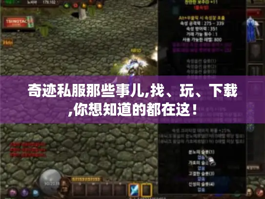 奇迹私服那些事儿,找、玩、下载,你想知道的都在这！
