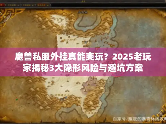 魔兽私服外挂真能爽玩？2025老玩家揭秘3大隐形风险与避坑方案