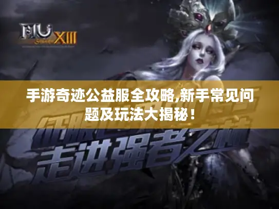 手游奇迹公益服全攻略,新手常见问题及玩法大揭秘！